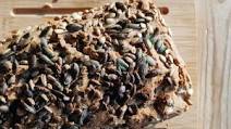 Vegan Gluten-Free Bread Recipe Vegan Gluten-Free Bread Recipe