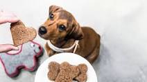 Homemade Dog Snacks Homemade Dog Snacks