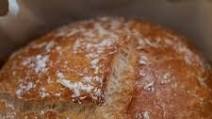 Crusty Dutch Oven Bread Crusty Dutch Oven Bread