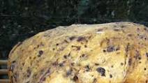 Bread Machine Kalamata Olive Bread Bread Machine Kalamata Olive Bread