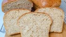 Homemade 50% Whole Wheat Bread Homemade 50% Whole Wheat Bread