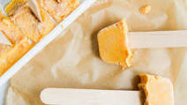 4-Ingredient Probiotic Pupsicles 4-Ingredient Probiotic Pupsicles