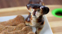 Homemade Cheesy Dog Treats Recipe Homemade Cheesy Dog Treats Recipe