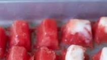 Frozen Watermelon Yogurt Dog Treats Frozen Watermelon Yogurt Dog Treats