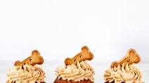 Pumpkin Peanut Butter Pupcakes Pumpkin Peanut Butter Pupcakes