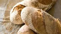 Spelt Sourdough Spelt Sourdough