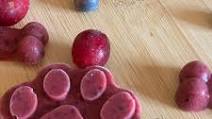 Berry Blast Frozen Dog Treat Berry Blast Frozen Dog Treat