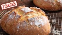 Einkorn Dutch Oven Bread Recipe Einkorn Dutch Oven Bread Recipe