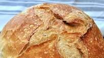Bread Machine Sourdough Bread With No Yeast Bread Machine Sourdough Bread With No Yeast