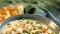Cream of Chicken and Vegetable Soup Cream of Chicken and Vegetable Soup