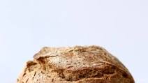 4 Ingredient Whole Wheat Artisan Bread 4 Ingredient Whole Wheat Artisan Bread