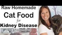 Beef and Salmon-Based Raw Kidney Care Cat Food Beef and Salmon-Based Raw Kidney Care Cat Food