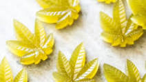 (Homemade!) Paleo & Keto CBD Gummies (Homemade!) Paleo & Keto CBD Gummies