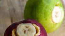 DIY Apple Kong for Dogs DIY Apple Kong for Dogs