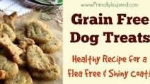 Homemade Grain Free Dog Treats Homemade Grain Free Dog Treats
