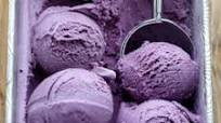 Blueberry Ice Cream Blueberry Ice Cream