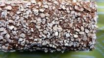 Barley flour bread recipe Barley flour bread recipe