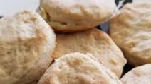 Kentucky Biscuits Kentucky Biscuits