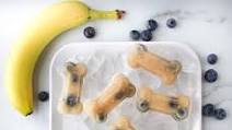 Banana and Blueberry Pupsicles Banana and Blueberry Pupsicles