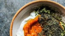 Pumpkin and Yogurt Bowl for Dogs Pumpkin and Yogurt Bowl for Dogs