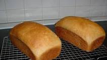 Fifty-Fifty Whole Wheat Bread using Bread Machine Fifty-Fifty Whole Wheat Bread using Bread Machine