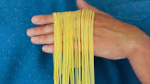 Homemade Pasta Homemade Pasta