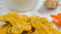 Homemade Pumpkin Carrot Dog Treats Homemade Pumpkin Carrot Dog Treats