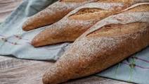 Basic French Bread With Sprouted Flour Basic French Bread With Sprouted Flour