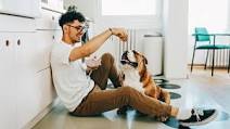 Baked Tempeh Beggin’ Treats for Dogs Baked Tempeh Beggin’ Treats for Dogs