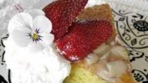 Almond Sponge Tea Cake Almond Sponge Tea Cake