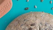 Seeded Wholemeal Bread Seeded Wholemeal Bread