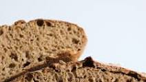 Sourdough Honey Spelt Bread Sourdough Honey Spelt Bread