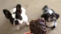 Homemade Beef Jerky for Dogs Homemade Beef Jerky for Dogs