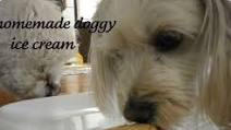 Homemade Doggy Ice Cream Homemade Doggy Ice Cream