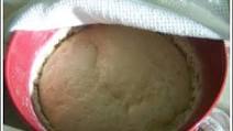 Amish Friendship Bread Starter Amish Friendship Bread Starter