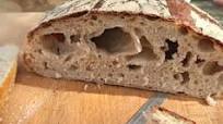 How To Make Sourdough Starter From Wild, Natural Yeast How To Make Sourdough Starter From Wild, Natural Yeast