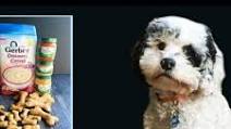 Easy Dog Biscuits Using Baby Food Easy Dog Biscuits Using Baby Food