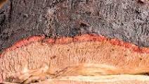 Delicious Mesquite Smoked Dry Rub Brisket Delicious Mesquite Smoked Dry Rub Brisket