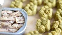 Fish Paws: Dog Treat Recipe Fish Paws: Dog Treat Recipe
