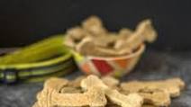 Salmon Dog Treats Salmon Dog Treats