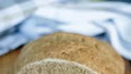 No-Rise Rustic Spelt Bread No-Rise Rustic Spelt Bread