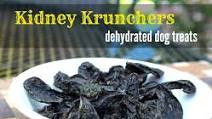 Kidney Krunchers Kidney Krunchers