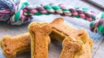 DIY Dog Treats - Two Ingredients DIY Dog Treats - Two Ingredients