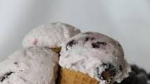 Blueberry Frozen Greek Yogurt Blueberry Frozen Greek Yogurt