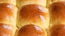 Brioche Dinner Rolls Brioche Dinner Rolls