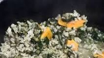 Fiber Filled Homemade Dog Food Fiber Filled Homemade Dog Food
