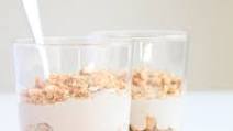 Raw Vegan Banana Pudding Raw Vegan Banana Pudding