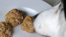 Dog Foodie: Sweet Turkey Meatballs Dog Foodie: Sweet Turkey Meatballs