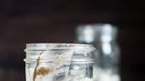 Gluten Free Sourdough Starter Gluten Free Sourdough Starter