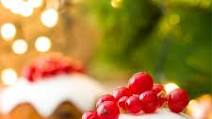 Mini Christmas Puddings for dogs Mini Christmas Puddings for dogs